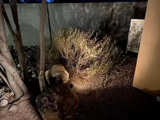 1827 Tierra Vida Place NW Exterior Other