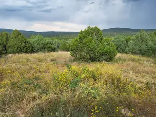 88 & 90 Entrada De Cibola 