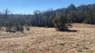 63 Jennifer Drive, Sandia Park 