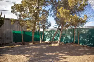 425 Vineyard Road NE Backyard