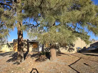 11101 Haines Avenue NE 