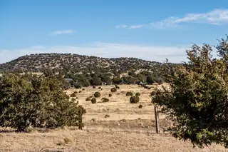 250 Frontier Trail Exterior Other