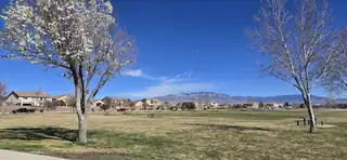 2334 Vista De Colinas Drive SE View