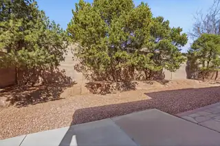 4419 Campo De Maiz Road NW Backyard