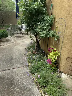 9920 Osuna Road NE Exterior Other