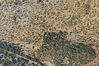 Subd: MANZANO GRANT S: 31 & 32 