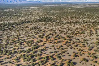 Subd: MANZANO GRANT S: 31 & 32 