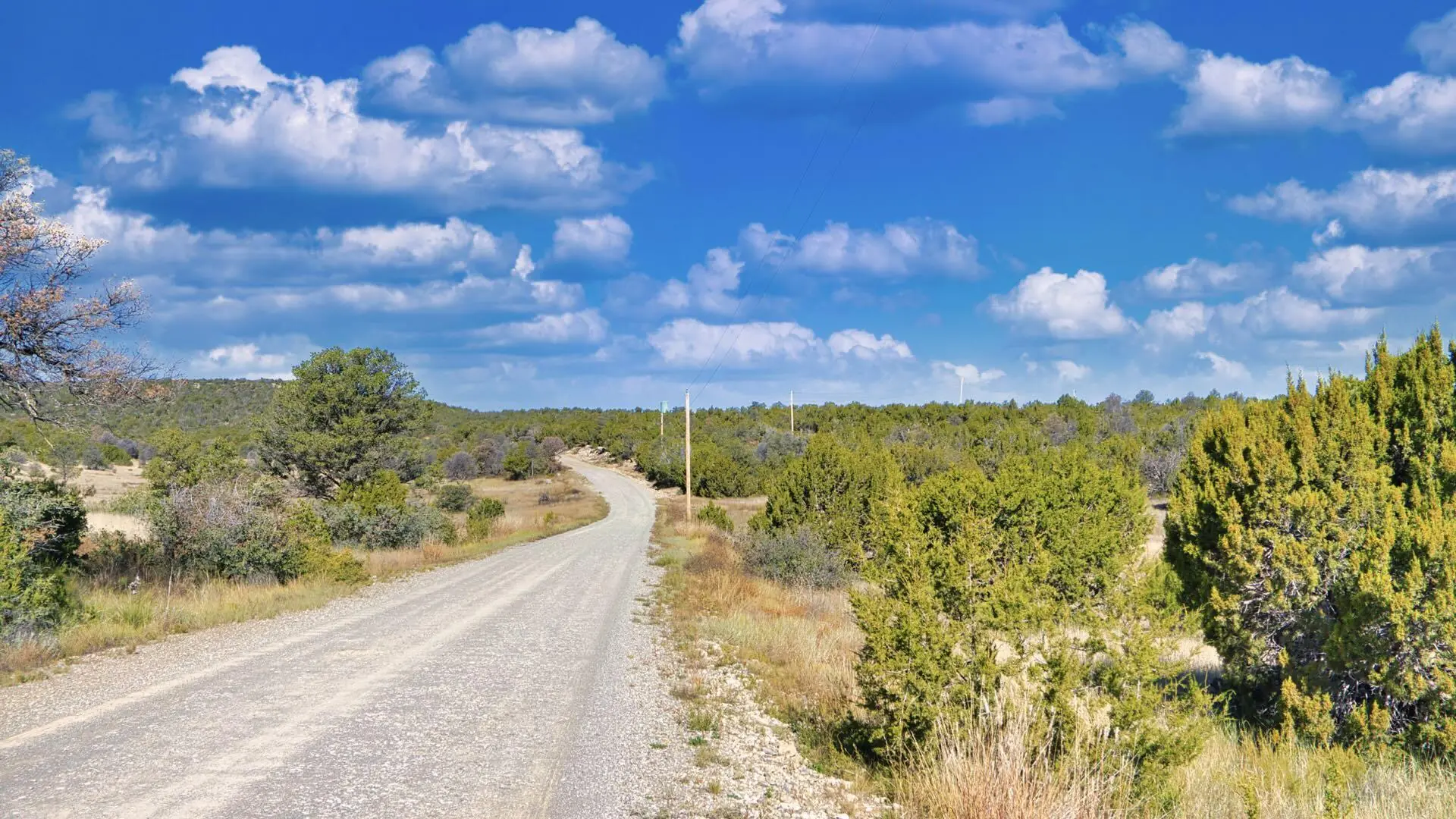 50 Manzano Morning Drive