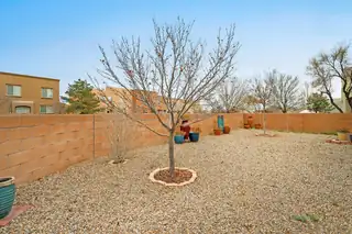 1922 Western Hills Drive SE Backyard