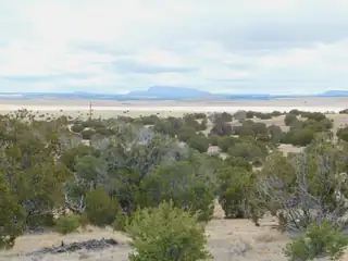 52 & 62 Wildflower Trail 