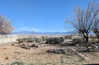 45 Milton Loop Backyard