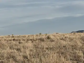 VL RGE Lot 2 Block 1031 J 