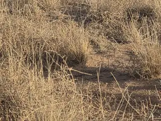 VL RGE Lot 42 Block 1052 J 