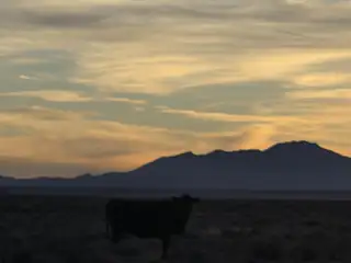 VL RGE Lot 91 Block 733 B 