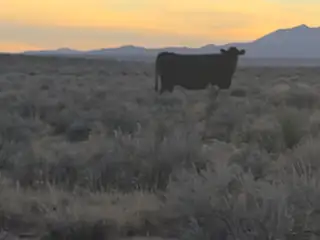 VL RGE Lot 91 Block 733 B 