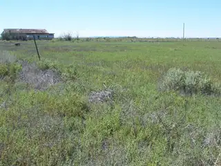 C. DEL SOL A081/MULBERRY A146 