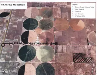 C. DEL SOL A081/MULBERRY A146 