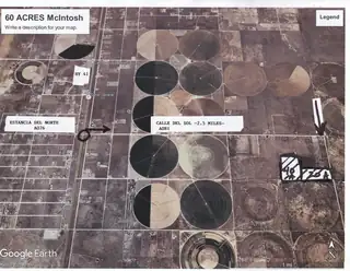 C. DEL SOL A081/MULBERRY A146 