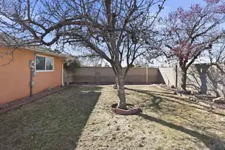 12209 S Phoenix Avenue NE Backyard