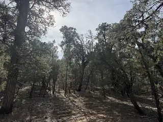 1-85-81 Entrada De Cibola 