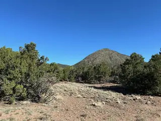 5 Canon De Manantial 