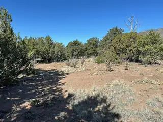 5 Canon De Manantial 