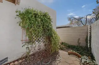 125 Calle Sol Mete NW Backyard