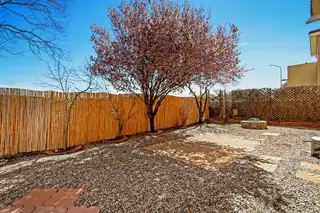 4700 Stafford Place NW Backyard