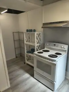 335 Mt. Carmel Avenue Kitchen