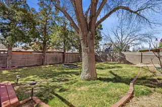13916 Paseo Vista NE Backyard