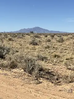 Off Jensen & Paradise 