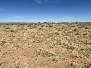 Off Jensen & Paradise 