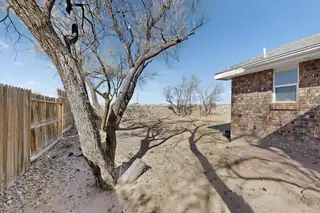 9 Apache Plume Road Backyard