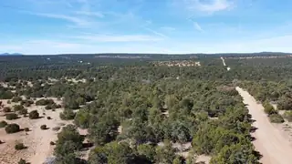 McComb Road Tract AA, Edgewood 