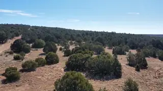 McComb Road Tract AA 