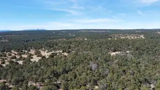 McComb Road Tract AA 