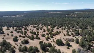 McComb Road Tract AA 