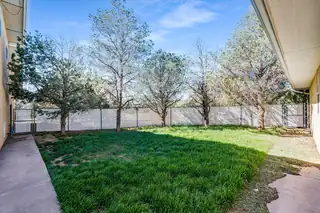 37 Sage Lane Backyard