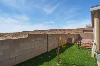 303 Sunrise Bluffs Drive Backyard