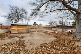 725 Monroe Street NE Backyard