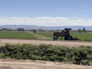 3931 Anderson Farm Drive SW 