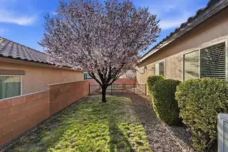 229 Paseo Vista Loop NE Backyard