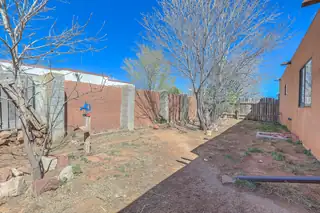 603 Victoria Street Backyard