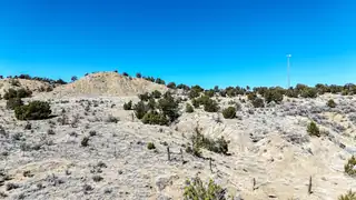 2004116285324 County Rd 11 