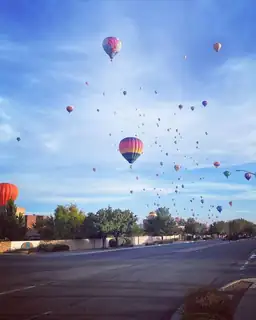 6800 Vista Del Norte Road NE 2615 View