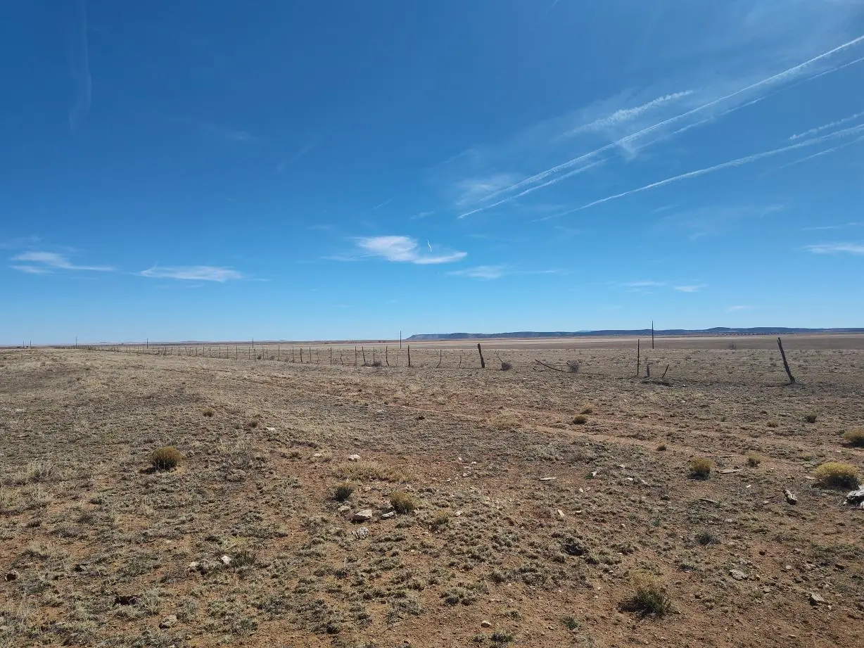 Tracts 3&4 Medicine Run Road