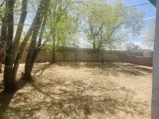 1612 Dorothy Street NE Backyard