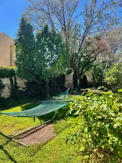 8700 Canyon Run Road NE Backyard