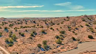 2305 Desert Marigold Road NE 