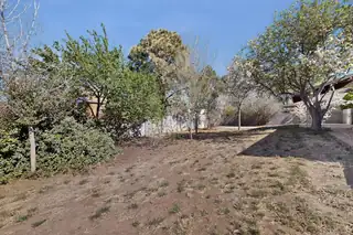 5401 Camino Sandia NE Backyard